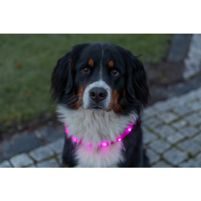 Світловий нашийник Flash USB L-XL для собак Trixie (70 см/30 мм)(рожевий)