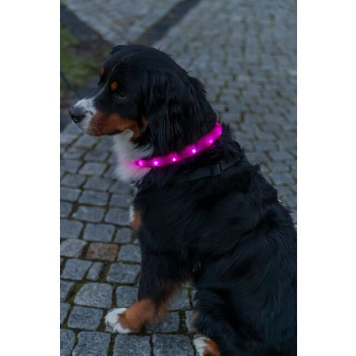 Світловий нашийник Flash USB L-XL для собак Trixie (70 см/30 мм)(рожевий)