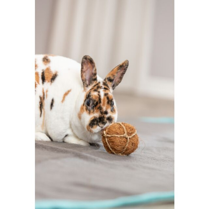 М'яч з кокосу для гризунів Trixie (6 см)