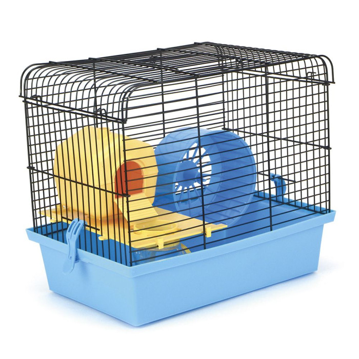 Клітка 