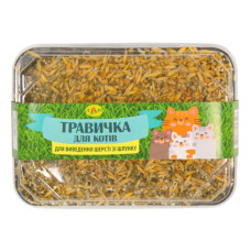 Травичка д/виведення шерсті з шлунку котів (пласт. упак. + грунт) 60 г