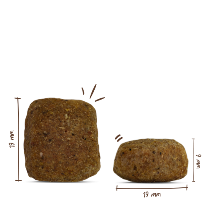 Корм для собак Бош Максі Сеньйор з птицею та рисом (1 кг), Bosch Maxi Senior Poultry Rice (1 кг)