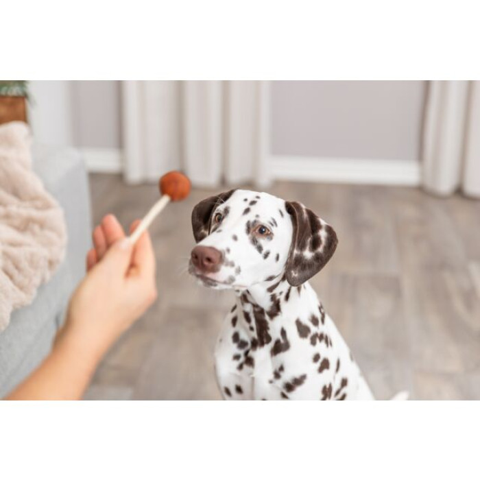 PREMIO Льодяник з тріскою Trixie (9 см/15 г) (60 шт/уп)