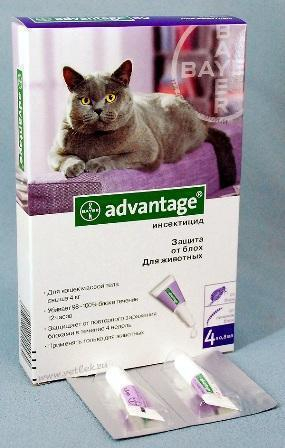 Защита от блох у кошек и кроликов(Bayer) Advantage 80 Байер Адвантейдж 80 вес более 4 кг - 1