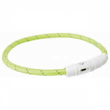 Ошейник светящийся USB Flash M-L для собак (зелёный)