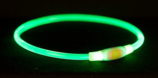 Нашийник світиться Flash USB L-XL (зелений) - 1