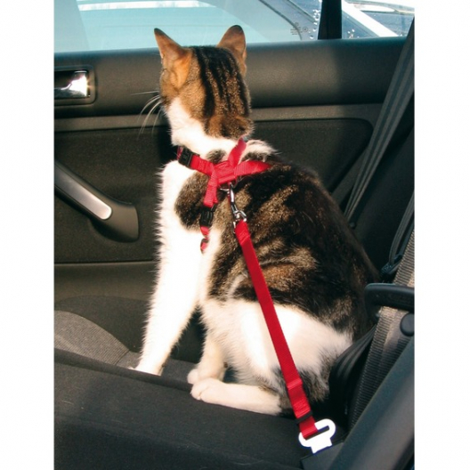 Автомобильная шлея для кота с поводком - 1