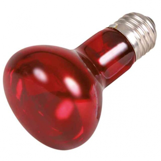 Інфрачервона лампа для тераріумів TRIXIE (R63, 50Вт) - 2