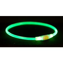 Нашийник світиться "Flash USB" (зелений)