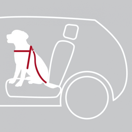 Автомобильная шлея M для собак - 3