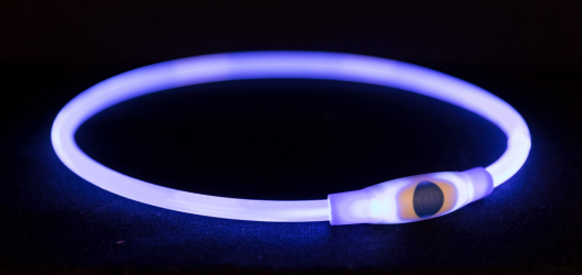 Ошейник светящийся Flash USB S-M для собак (синий) - 1