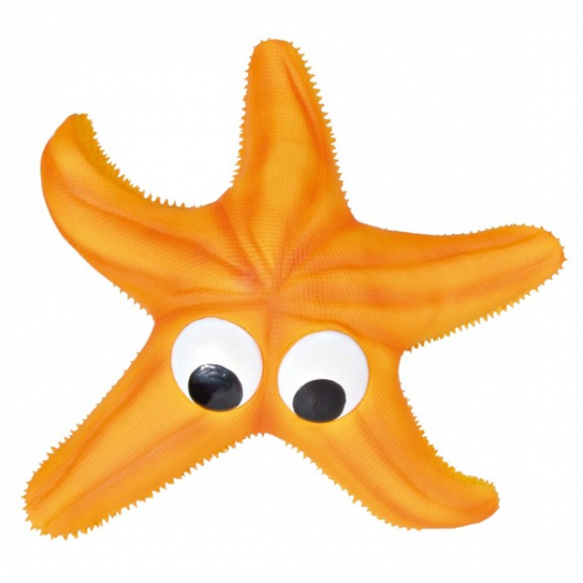 Морская звезда (ø 23 см) - 1