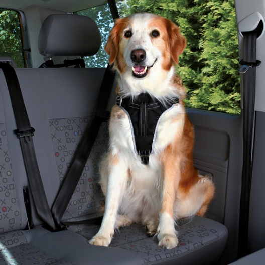 Захисна шлейка "Dog Protect" в автомобіль для собак - 1