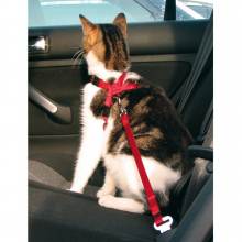 Автомобільна шлейка для кота з повідцем