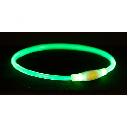 Ошейник светящийся Flash USB S-M для собак (зелёный) - 2