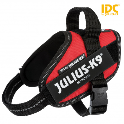 Шлея тренировочная "Julius-K9® IDC® Powerharness Baby 2" XS для щенков (красный) - 1